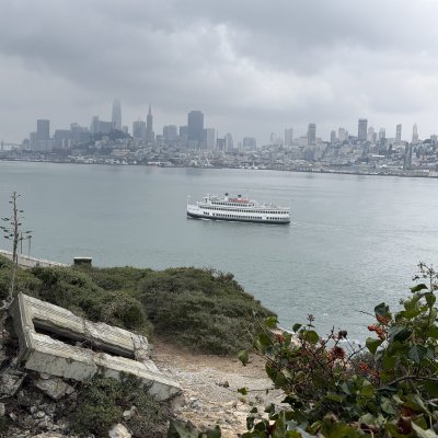 The San Francisco skyline across the bay from Alcatraz, with a ferry crossing and plants in the foreground.